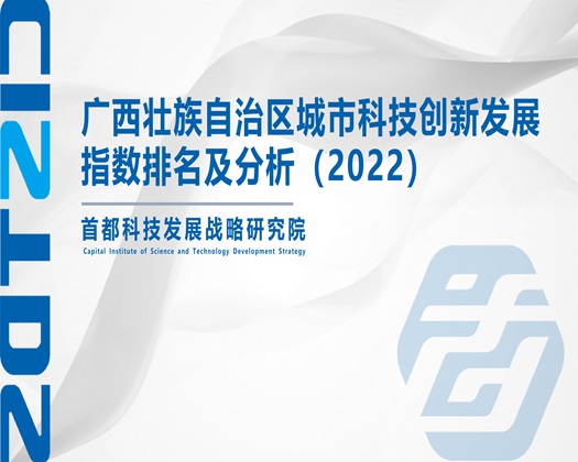 插入骚逼【成果发布】广西壮族自治区城市科技创新发展指数排名及分析（2022）